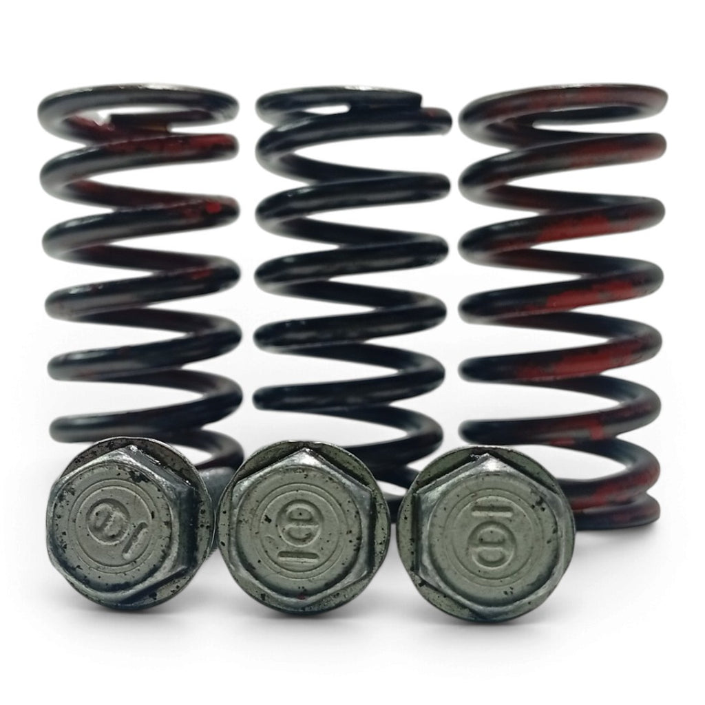 Kit Molas Embreagem Suzuki V-Strom 1050 2020 2021 2022 2023 2024 2025 2026 Original - foto 3