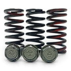 Kit Molas Embreagem Suzuki V-Strom 1050 2020 2021 2022 2023 2024 2025 2026 Original - foto 3