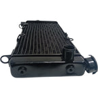 Radiador Honda CB 600 Hornet 2005 2006 2007 Original