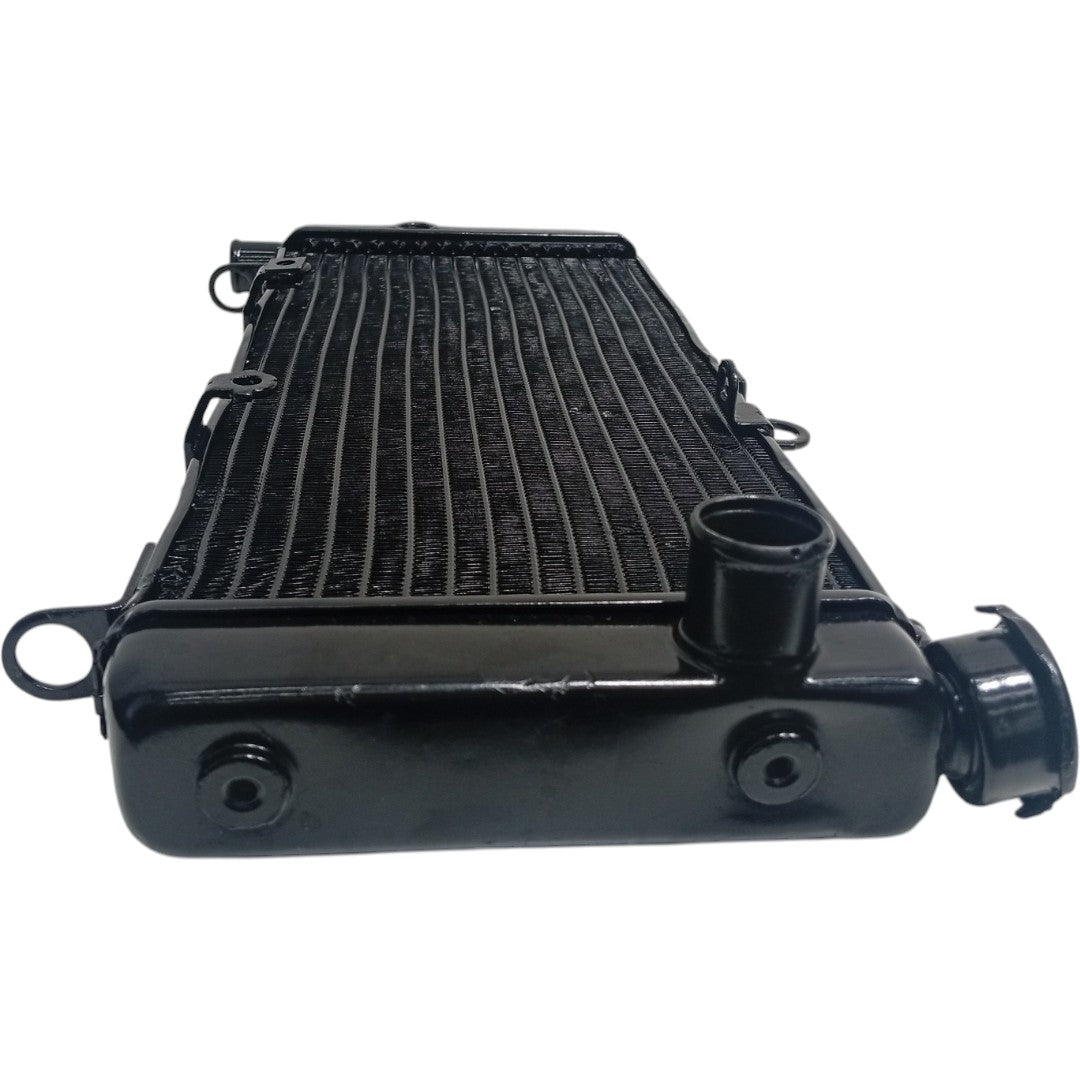 Radiador Honda CB 600 Hornet 2005 2006 2007 Original