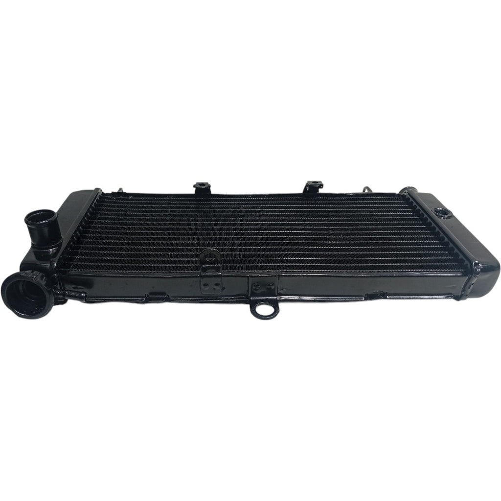 Radiador Honda CB 600 Hornet 2005 2006 2007 Original