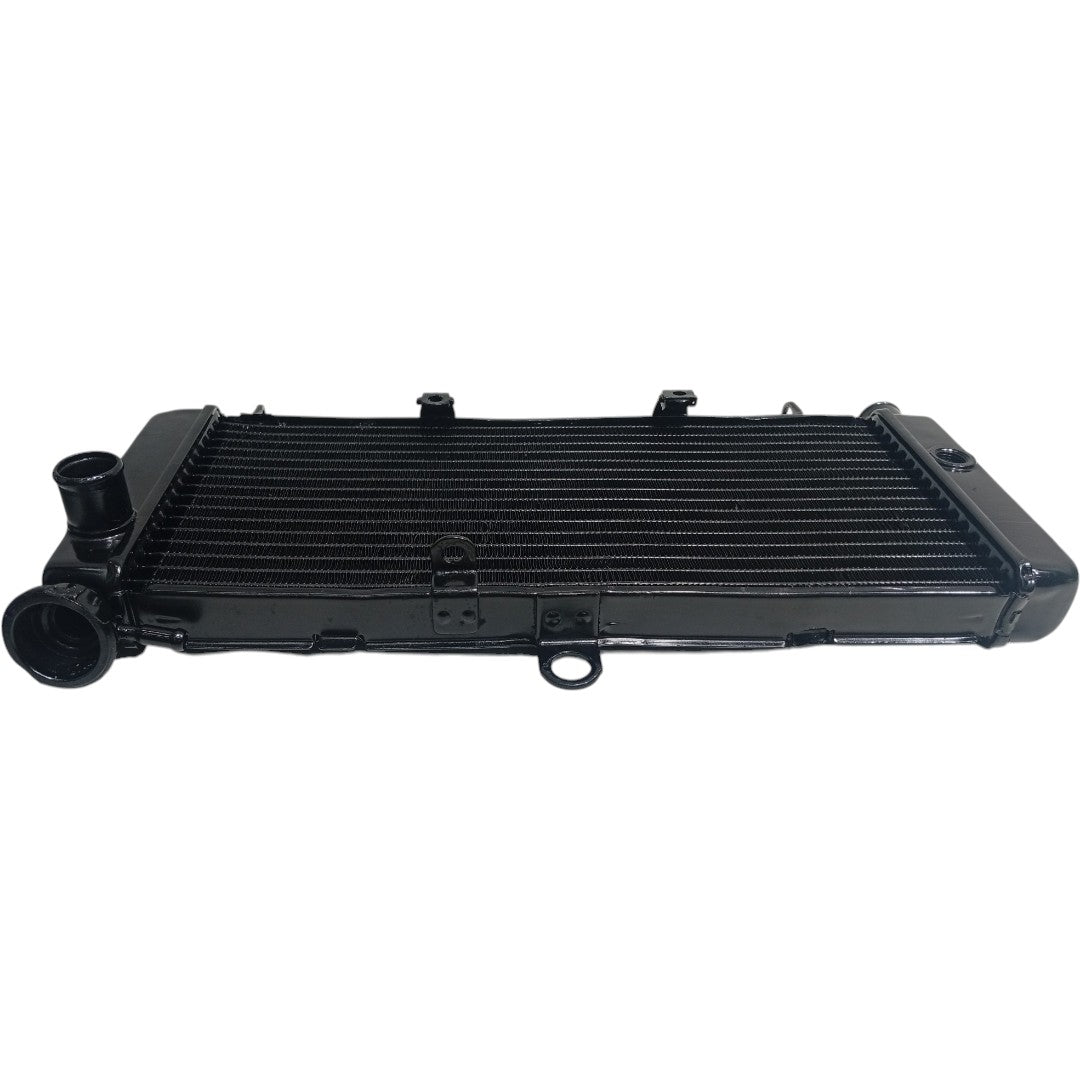 Radiador Honda CB 600 Hornet 2005 2006 2007 Original