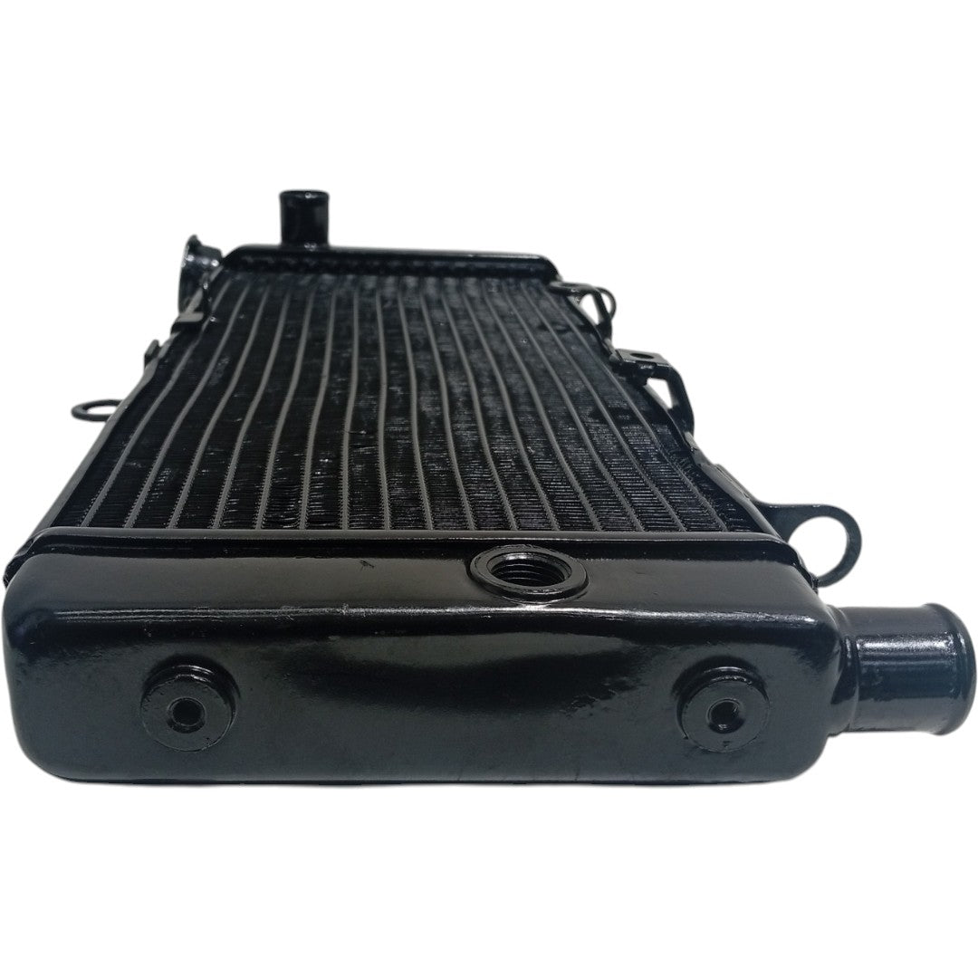 Radiador Honda CB 600 Hornet 2005 2006 2007 Original
